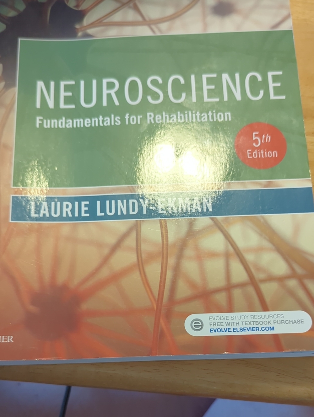 Neuroscience: Fundamentals for Rehabilitation — 5th Edition (Green/Orange Cover)